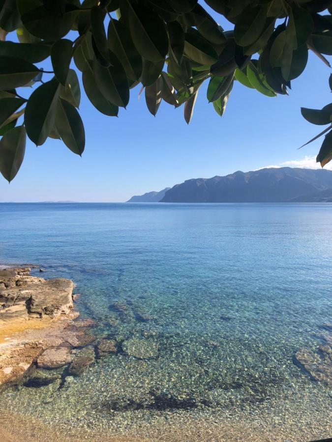 The Island House - Family Size Apt - Overlooking The Aegean - 3 Steps From The Beach Mokhlos Exteriör bild